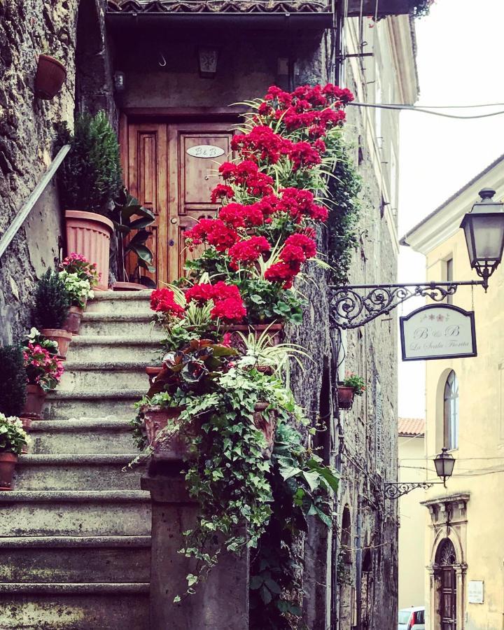 La Scala Fiorita Bed and Breakfast Anagni Exteriör bild