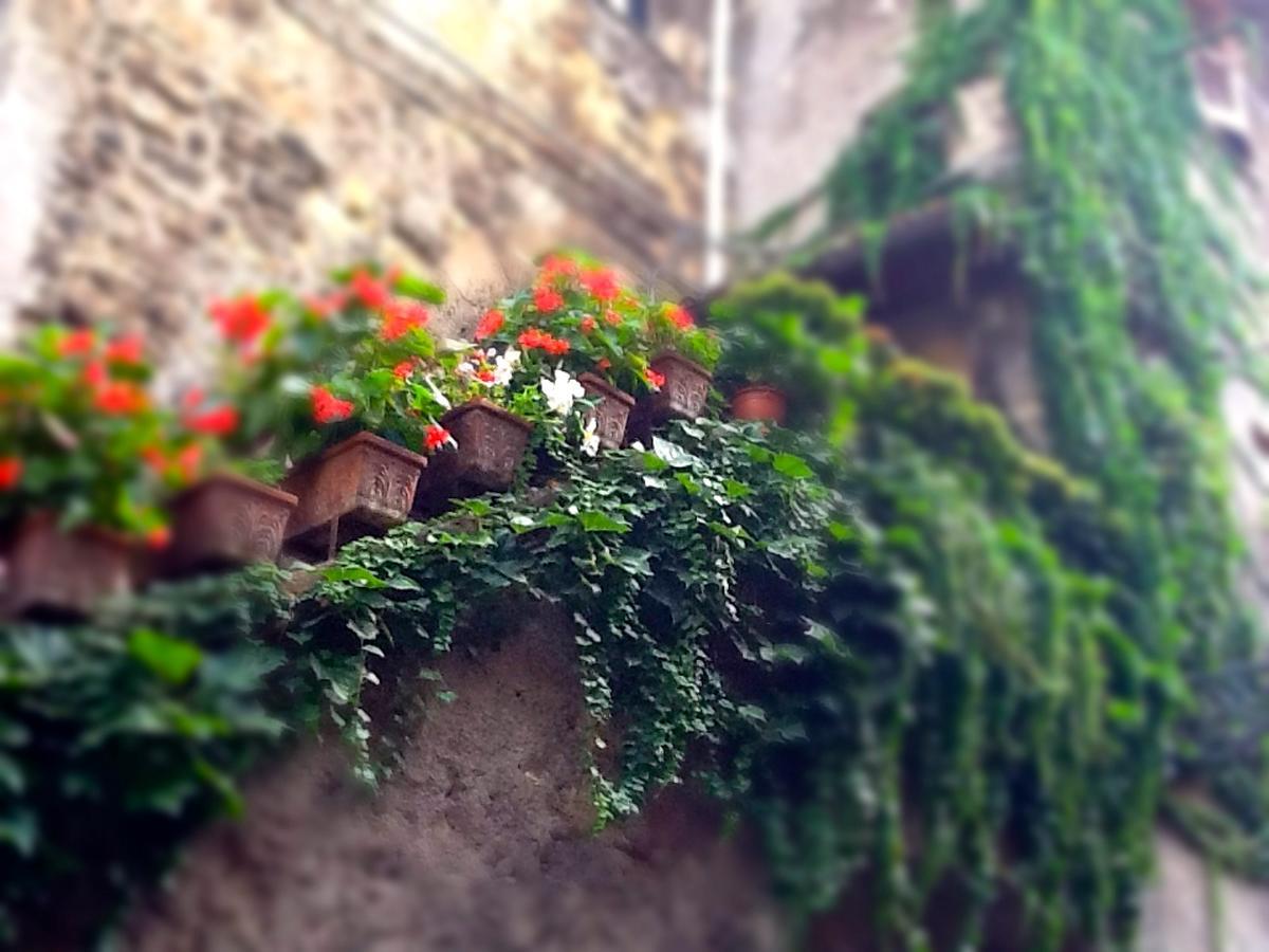 La Scala Fiorita Bed and Breakfast Anagni Exteriör bild